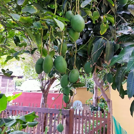 Casa Omaira Y Nacho 아파트 *